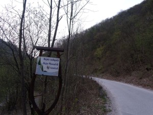 a8.JPG
