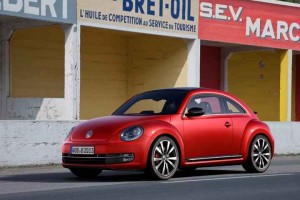 beetle.jpg