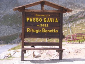 IMG_0096.JPG