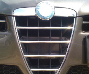 IMG_0313 orez1.jpg