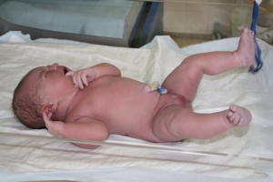 Img_4388small.jpg