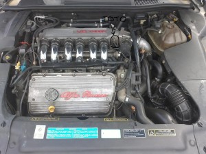 2556061_9.jpg