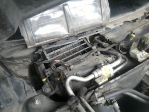 2011-09-15 10.40.46.jpg