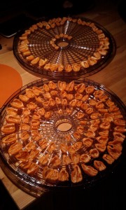 IMAG0264.jpg