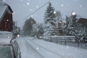 IMG_1210.JPG