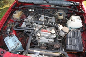 IMG_6110.JPG
