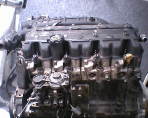 IMG0212A.jpg