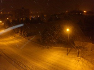 DSC_7807.JPG