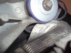 P2250400.JPG