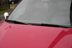 IMG_8963.JPG