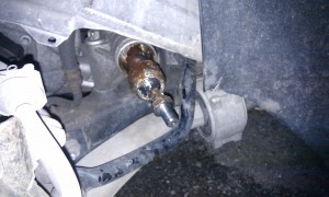 IMAG0285.jpg