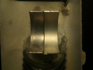 IMG_4350.JPG