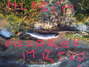 2012-06-22 20.50.55.jpg