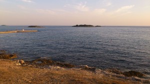DSC_0249.jpg
