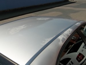 Snímek 014.jpg