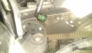 IMAG0612.jpg