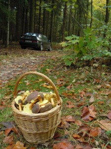 DSCN3144.JPG (239.56 KiB) Zobrazeno 20752 x DSCN3144.JPG