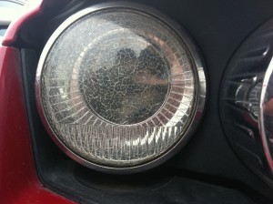 IMG_0260.jpg