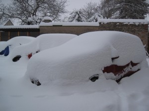 IMG_2229.jpg
