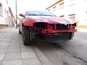 P1000901x.jpg