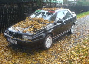 Snímek 099.jpg