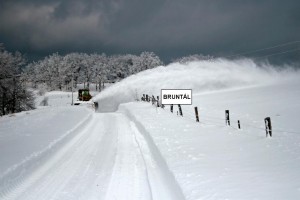 BRUNTÁL.jpg
