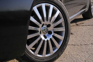 IMG_9733.JPG