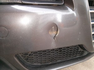 IMG_20130413_111751.jpg