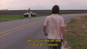 grazlove 3.jpg