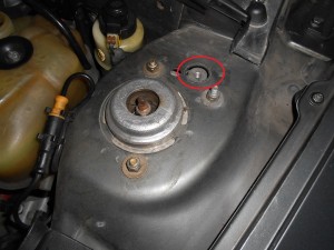 DSCN4401.JPG