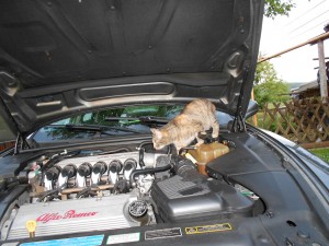 DSCN4407.JPG