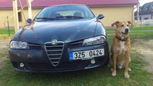 Nová denní očka + alfa pes