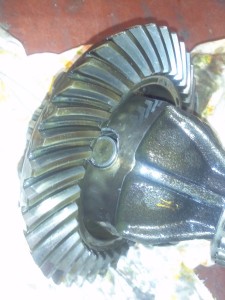 CAM00275.jpg