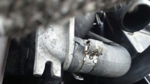 IMG_20130725_131603_420.jpg
