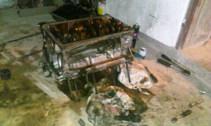 WP_20130905_002.jpg