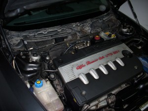 DSCI0684.JPG