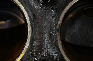 DSC07520m.jpg