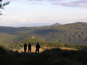 P9280150.JPG