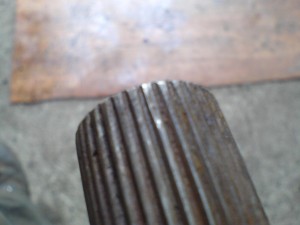 DSC00910.JPG