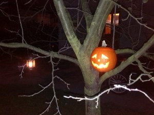 IMG_20131029_170622.jpg