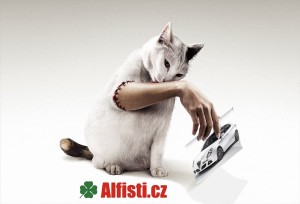 alfisti3.jpg