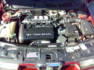13062009258.jpg