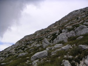 PICT0222.JPG