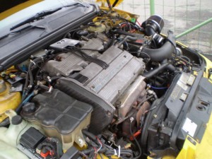 P9140443.jpg