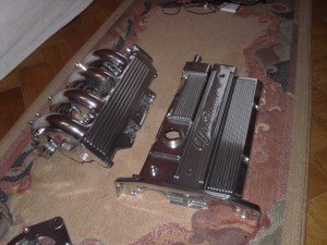 SDC10565.jpg