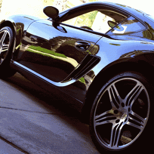 Carnauba_Car_wax.gif