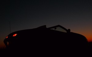 spider_P1100596.jpg