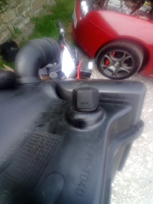 IMG-20250821-WA0012.jpeg