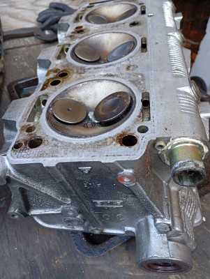 WhatsApp Image 2025-05-01 at 16.03.21.jpeg