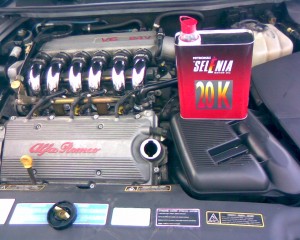 Obraz081.jpg